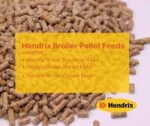 Hendrix pellets