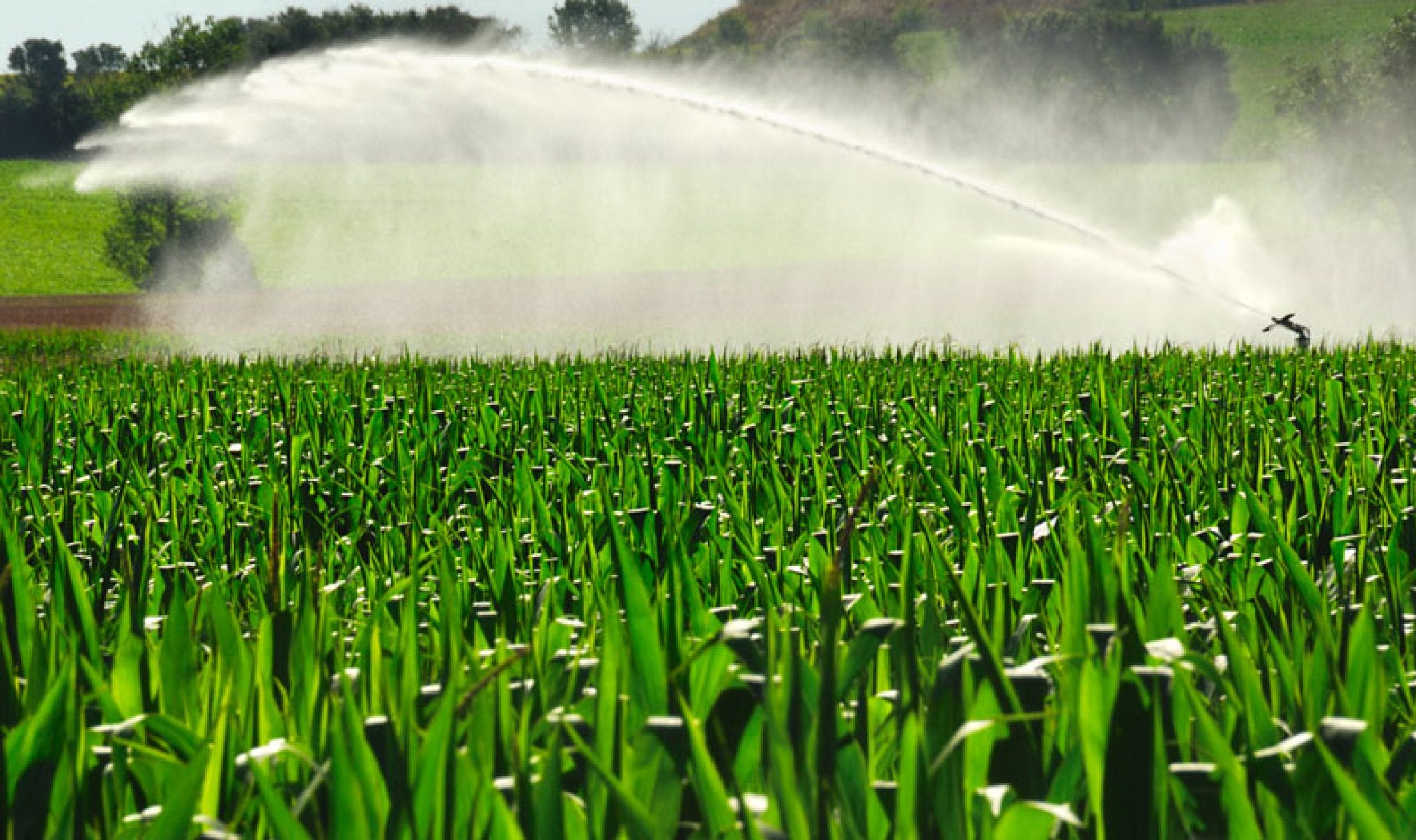 Buy Irrigation Rain Gun (30m 40m 50m Spray Radius) Online In