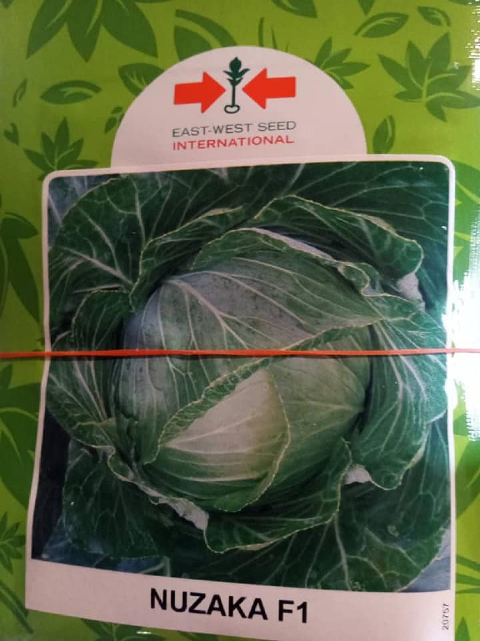 Nuzaka F1 Cabbage Seeds (East West Seed Brand 1000 Seeds) Afrimash