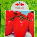 Padma 108 F1 Tomato Seeds