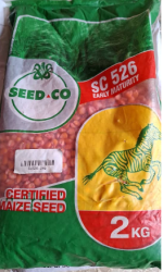 Seed Co Maize Seeds  | (SC 719 Late Maturity) | (SC 649 Medium Maturing) | (SC526 Early Maturing) | 2KG - Image 2