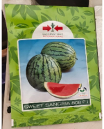 Watermelon Sweet Sangria F1 | 10g - Image 2