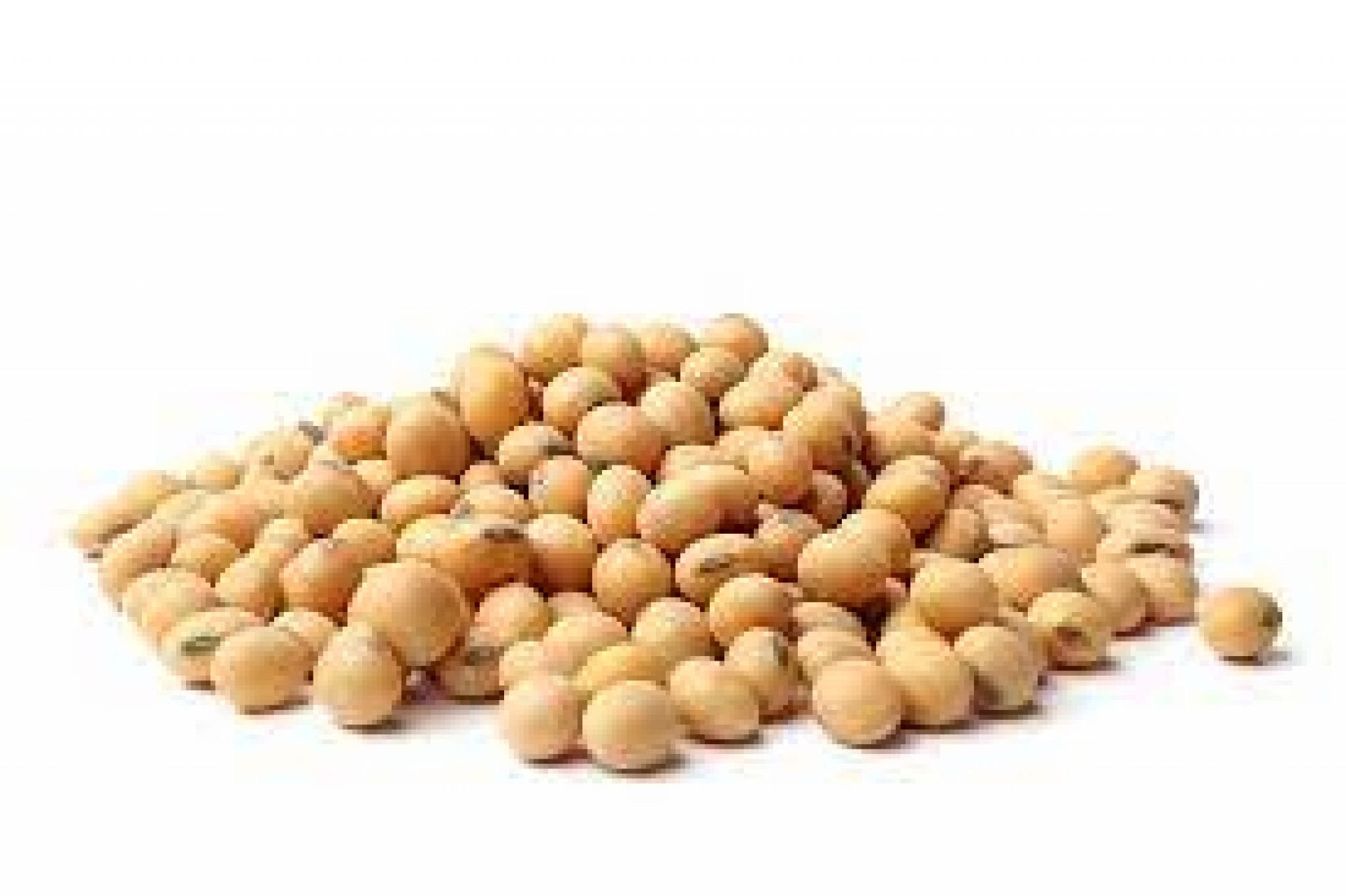 Soya Beans for Planting (2kg Packs) Nigeria