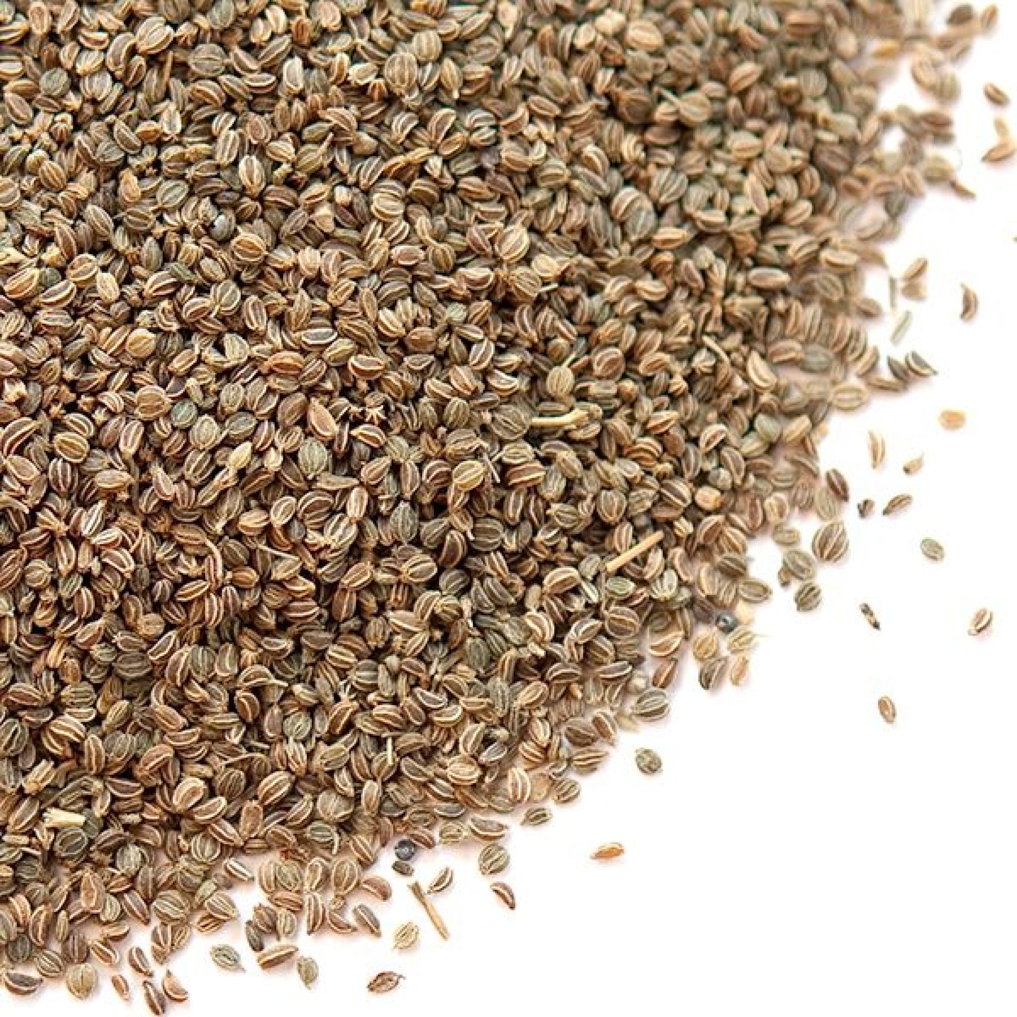Celery Seeds 1000 Seeds Per Pack Afrimash Nigeria