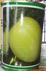 African eggplant djamba f1