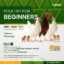 Poultry Farming for Beginners