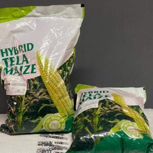 HYBRID TELA MAIZE