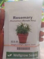 Rosemary | Wellgrow Seeds - Image 2
