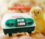 Basica Digital Incubator - Image 2