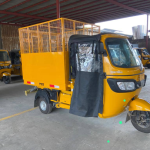 TVS King Kargo Tricycle