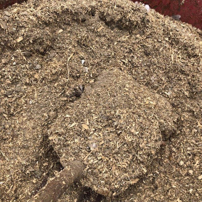 Poultry manure