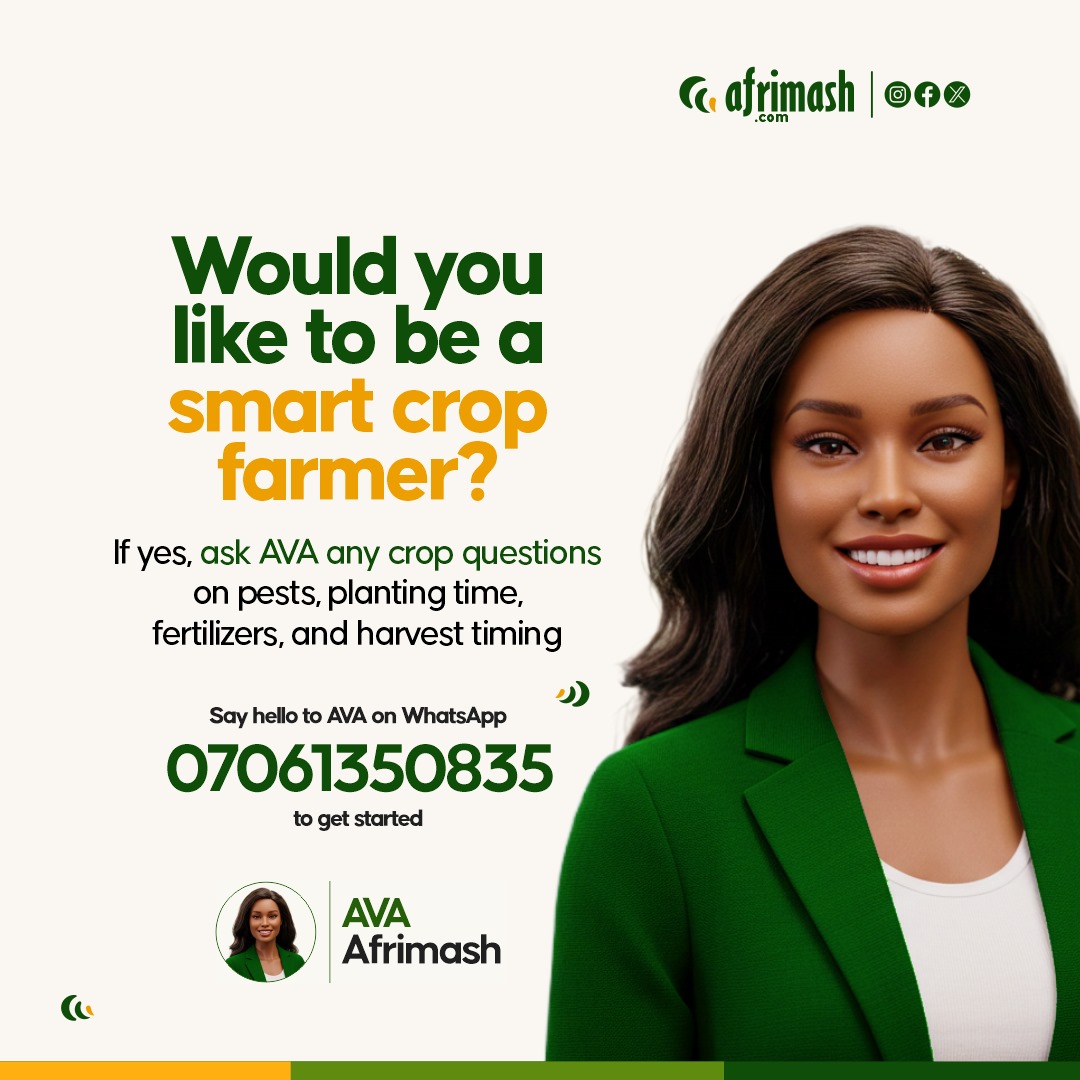 How Our Customers Can Use AVA to Get Advisory Services 1 AVA