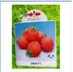 Buy 5 Diva Tomato Seeds + 1L Neem Oil and Get 2 Seed Trays Free - Image 2