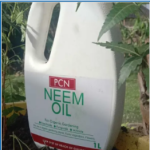 Buy 5 Diva Tomato Seeds + 1L Neem Oil and Get 2 Seed Trays Free - Image 3