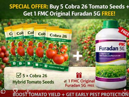 offer Offer: Buy 5 Cobra 26 Tomato Seeds + 1 FMC Original Furadan 5G free - Image 1