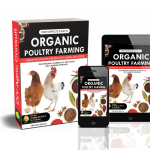 Guide to organic poultry farming