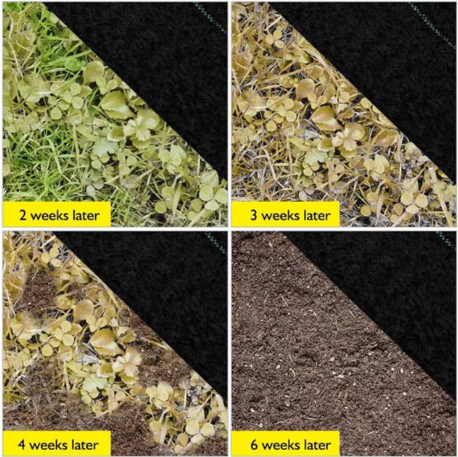 Weeding Mat - 1m x 100m - Image 2