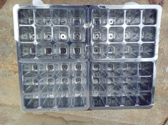 Seed Tray – 48 Cells with Dome Cover & Adjustable Vent