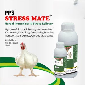 PPS StressMate
