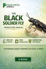 BSF Production Manual