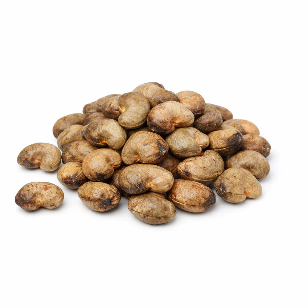 Cashew Seed