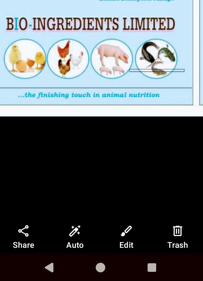Bio-ingredients Limited