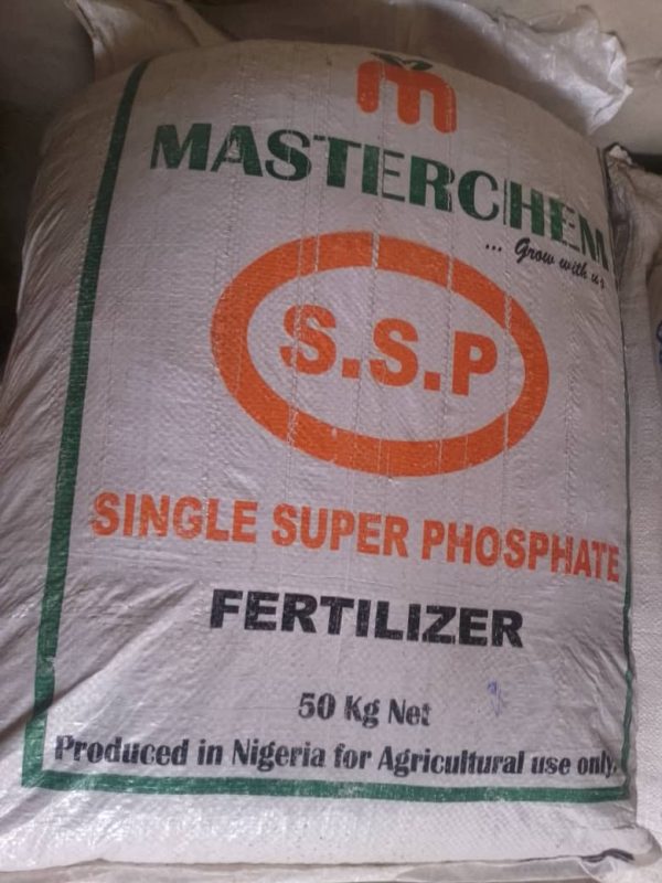 WhatsApp Image 2026 01 07 at 11.44.25 PM