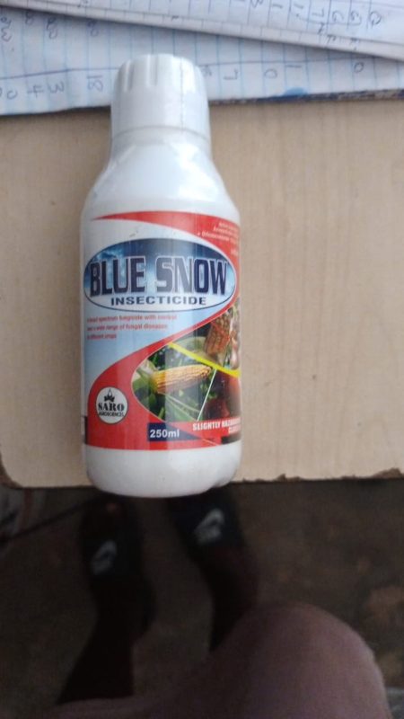 WhatsApp Image 2026 01 08 at 6.53.20 AM