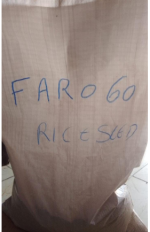 FARO 60 Medium Grain Rice Seeds | 50kg - Image 2