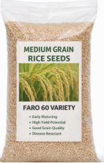 FARO 60 Medium Grain Rice Seeds | 50kg
