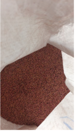 FARO 60 Medium Grain Rice Seeds | 50kg - Image 3