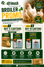 Afrimash broiler promo