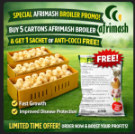 Afrimash broiler Promo