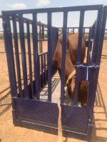 Locally Fabricated Cattle Weighing Scale (3-Ton Capacity) - Image 2